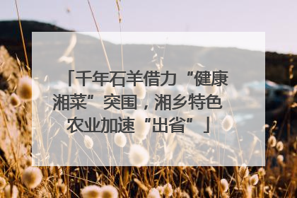千年石羊借力“健康湘菜”突围，湘乡特色农业加速“出省”